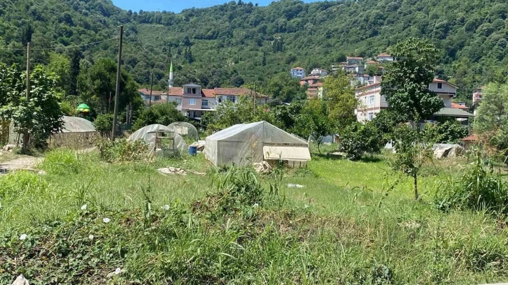 Selden zarar gören tarım arazileri havadan görüntülendi
