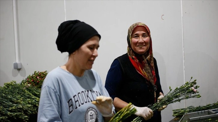 Sevginin sembolü çiçekler, kadınların ellerinde işlenip ihraç ediliyor