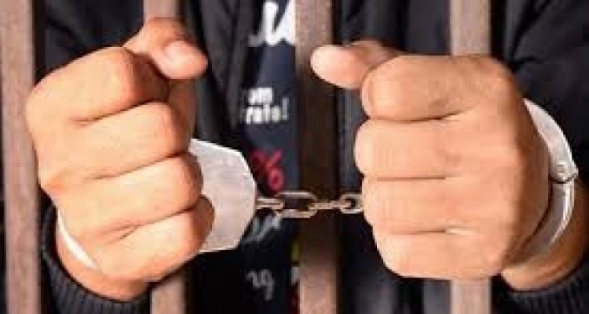 Siirt'te suç örgütüne operasyon: 9 kişi tutuklandı