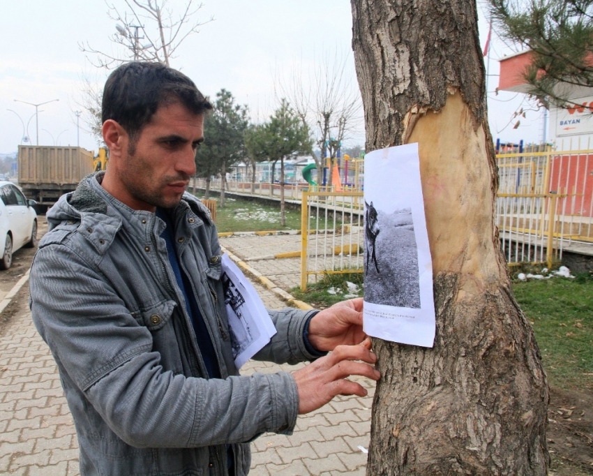 Kaybettiği sıpasını arıyor: Her yere afiş asıyor