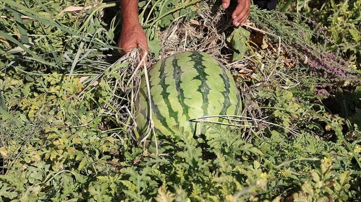 Sıcak havanın 