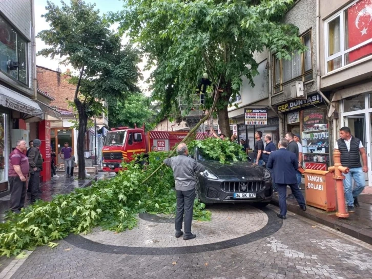 Şiddetli rüzgarda kırılan ağaç dalı, lüks otomobilin üzerine düştü
