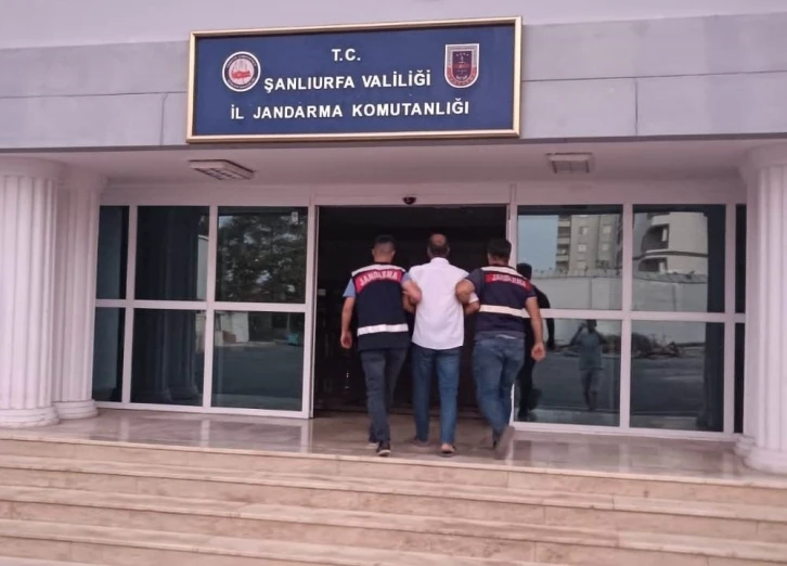 Sığınmacı kimliğiyle yaşayan cinayet zanlısı jandarmaya yakalandı
