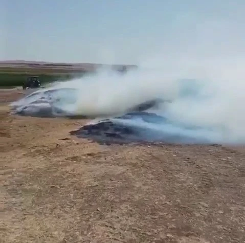 Siirt’te 50 ton mercimek samanı kül oldu
