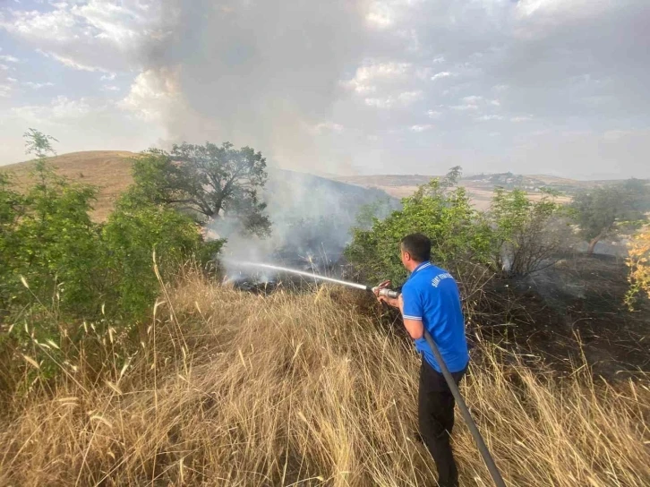 Siirt’te 65 dönüm buğday kül oldu
