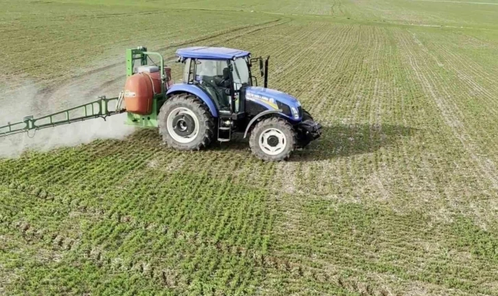 Siirt’te bahar yağmurları çiftçinin yüzünü güldürdü
