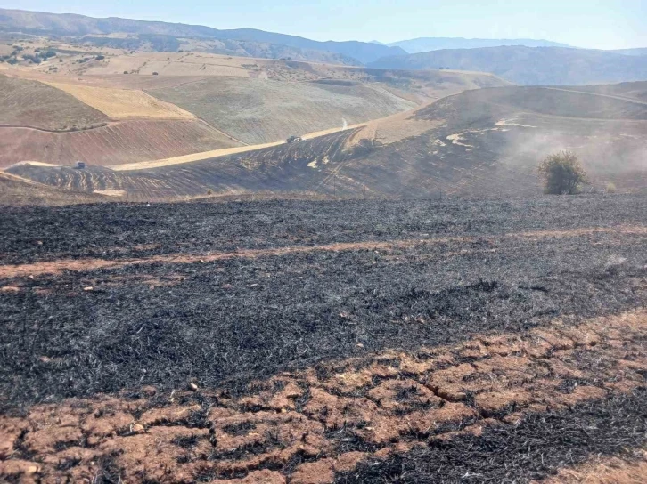 Siirt’te çıkan anız yangını söndürüldü
