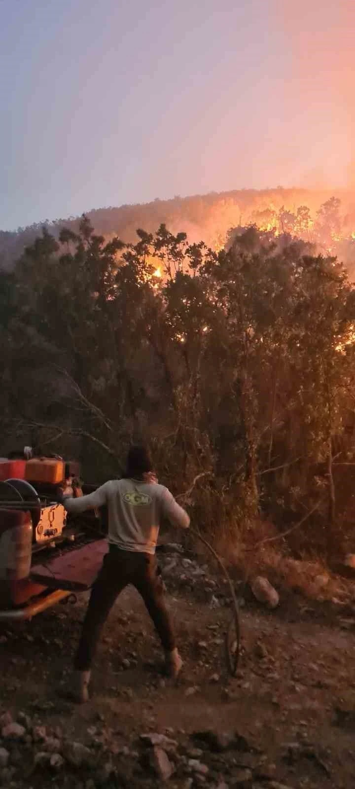 Siirt’te ormanlık alanda çıkan yangın saatler sonra kontrol altına alındı
