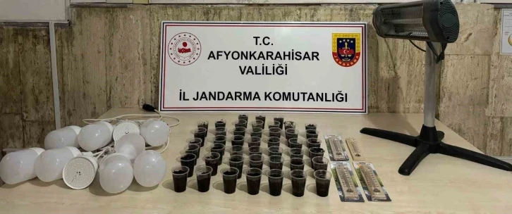 Silahlı vurulan şahsın evinde kenevir yetiştirmeye çalıştığı ortaya çıktı