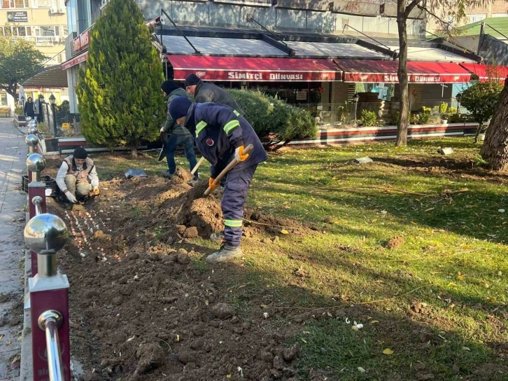 Sincan’da lale soğanı toprakla buluştu
