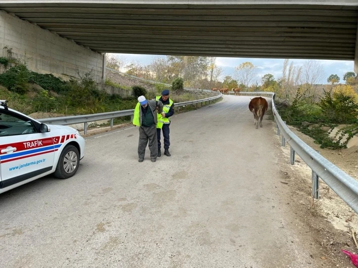 Sinop’ta “Reflektif Yelek Giy Görünür Ol Projesi"
