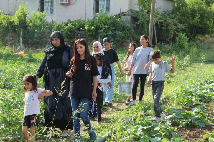 Şırnak’ın sebze ihtiyacını karşılamak için harekete geçildi
