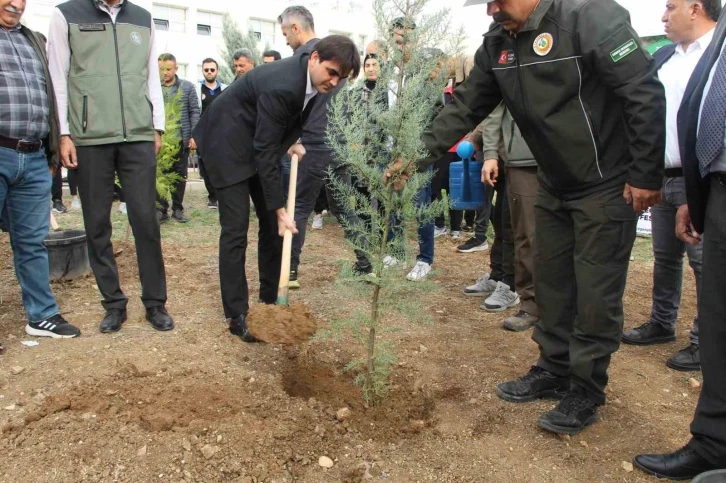 Şırnak’ta 250 bin fidan toprakla buluşacak
