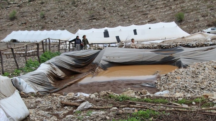 Şırnak'ta sel sularına kapılan 205 küçükbaş hayvan telef oldu