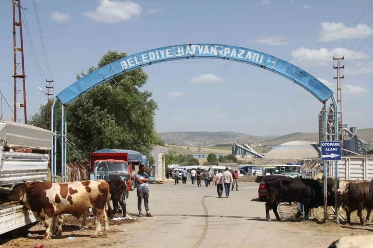 Sivas Kurban pazarı esnafı dertli
