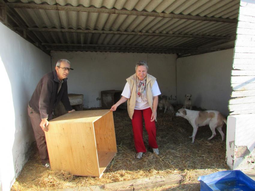 Foça Belediyesi barınakları kışa hazırladı