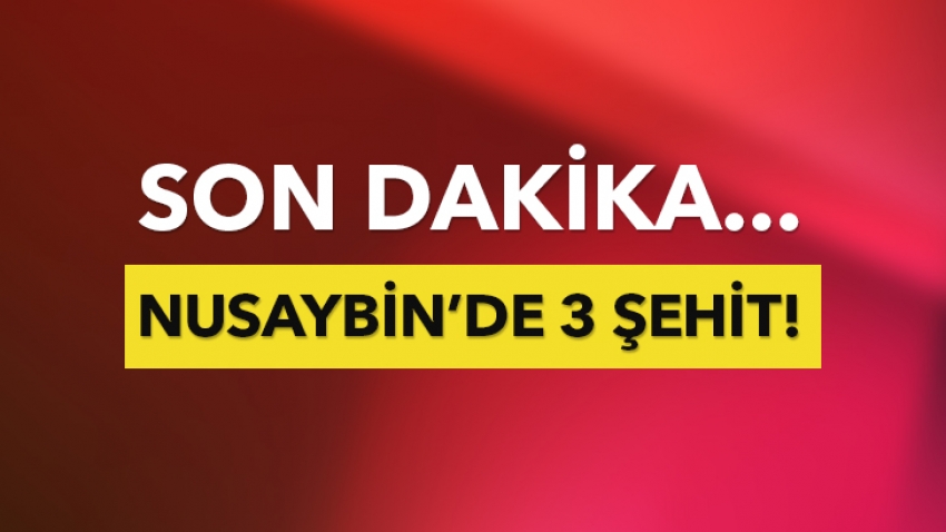 Nusaybin'den art arda kara haber