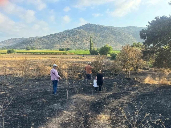 Söke’de yangından etkilenen 500 dekarlık zeytinlik alanında hasar tespiti yapıldı
