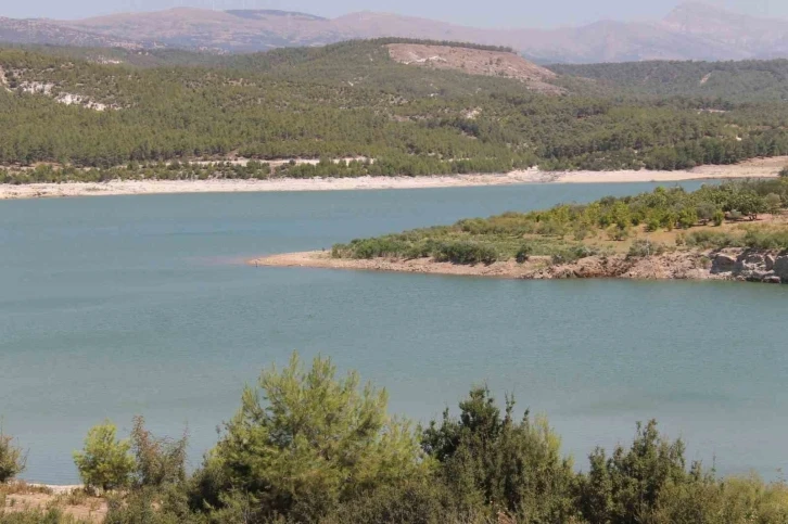 Son yağışlar çiftçilerin yüzünü güldürdü
