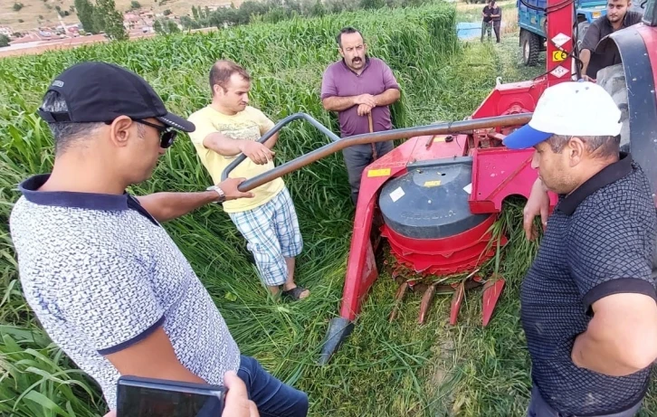 Sorgum sudan otu melezi hasadı yapıldı
