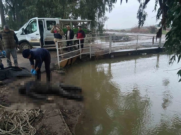 Sulama kanalında erkek cesedi bulundu