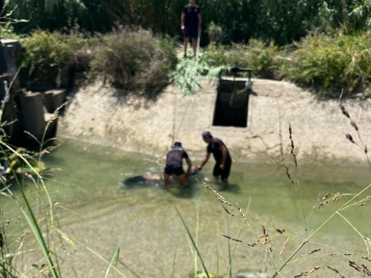 Sulama kanalında erkek cesedi bulundu