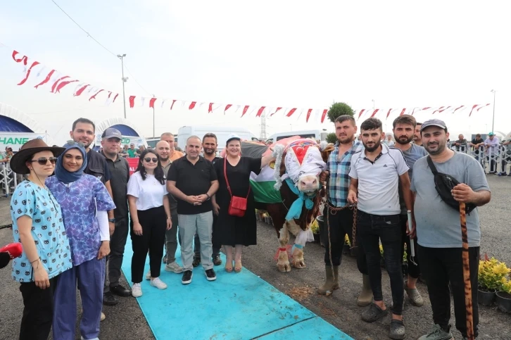 Sultangazi’de &quot;En Güzel Kurbanlık&quot; yarışması düzenlendi
