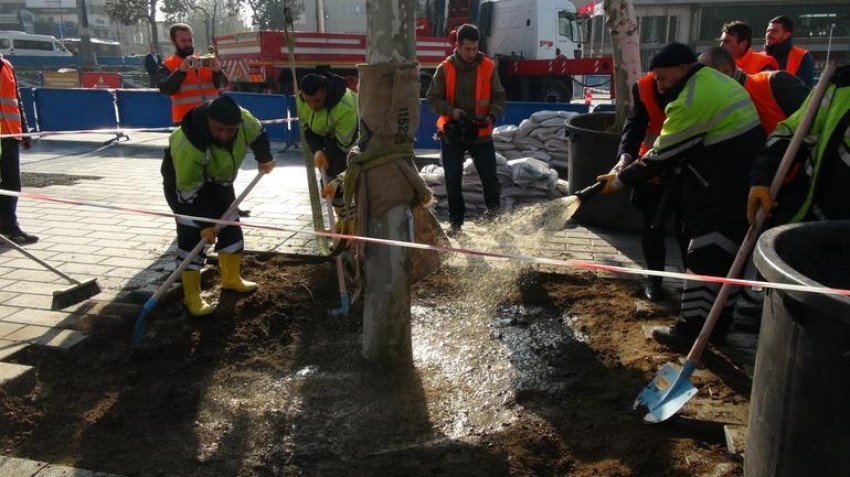 Taksim Meydanı ağaçlanıyor