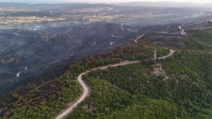 Tarihi Alan’daki orman yangını sonrası Çanakkale Savaşları’ndan kalma top mermisi ortaya çıktı