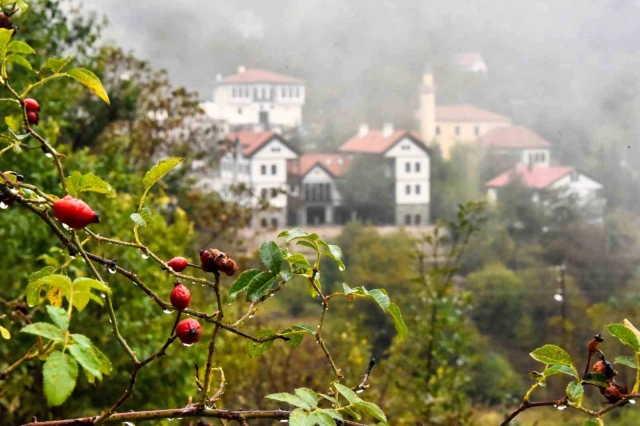 Tarihi Süleymaniye Mahallesi’nde sisli sonbahar güzelliği
