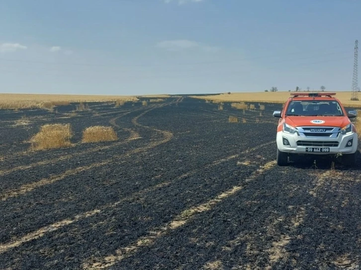 Tekirdağ’da 15 dönüm buğday alevlere teslim oldu
