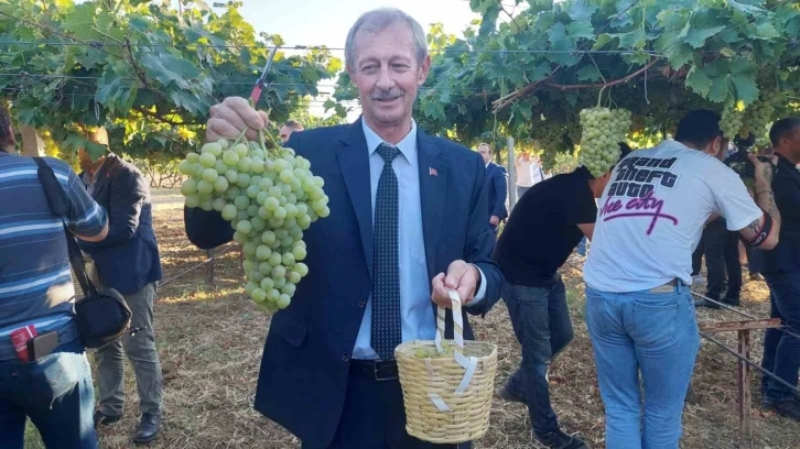 Tekirdağ’da bağ bozumu etkinliği: Binlerce çeşit üzüm hasat edildi