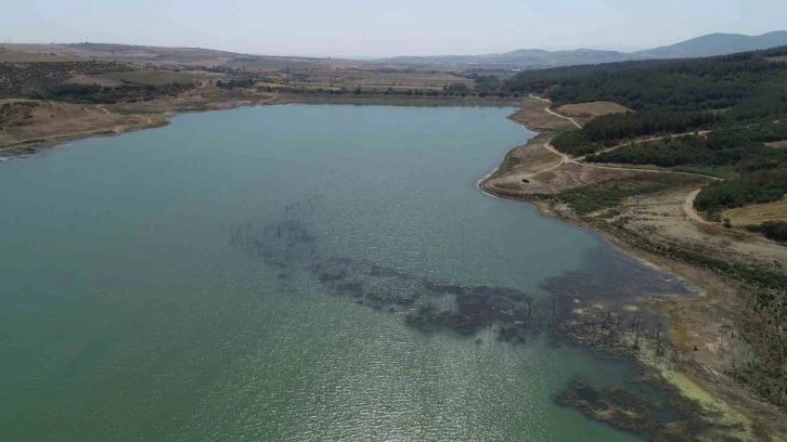 Tekirdağ’da korkutan görüntü: Barajdaki çalı ve ağaçlar ortaya çıktı
