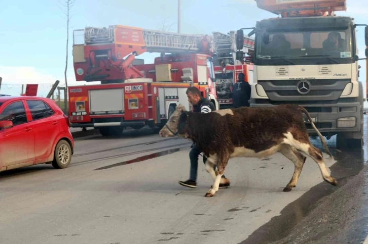 Tek katlı müstakil evde korkutan yangın