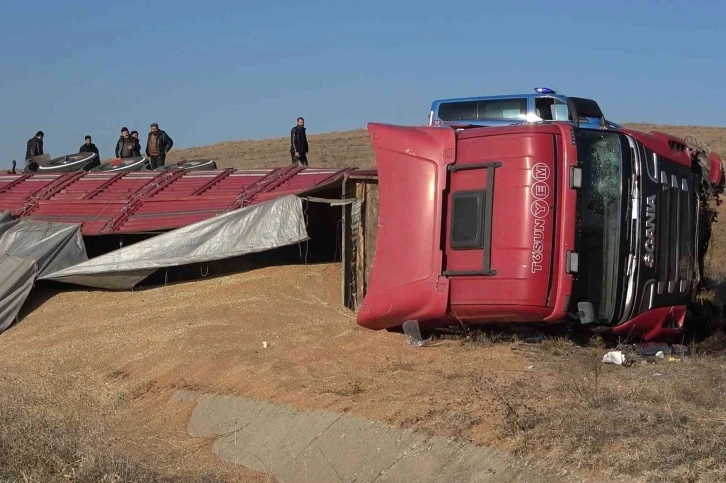 Tır devrildi, tonlarca buğday etrafa saçıldı