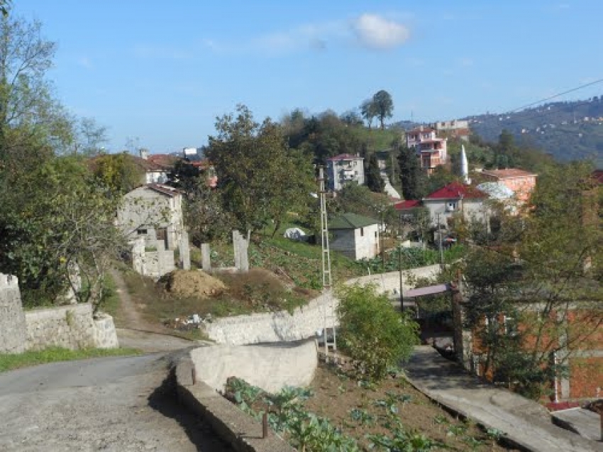 Trabzon'da bıçaklanmış kadın cesedi bulundu