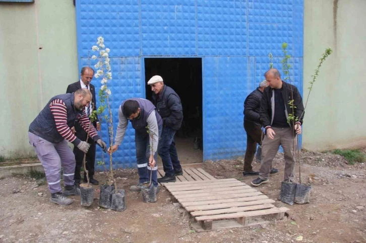 Traktör kazasında ölen babası için ilginç bir hayır yaptı
