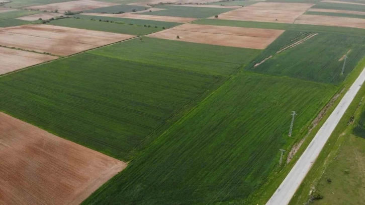 Trakya’da son yağışlar çiftçinin endişelerini ortadan kaldırdı
