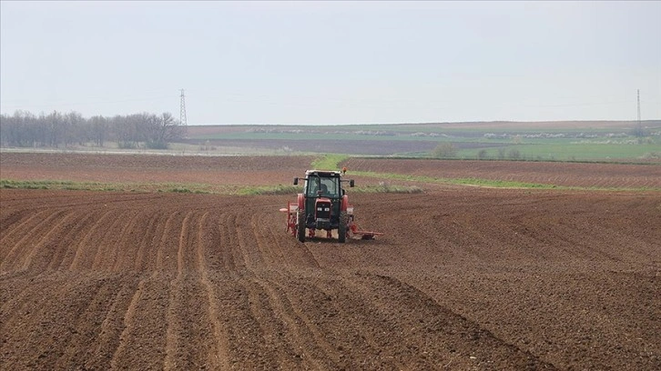 Trakya'da çiftçilerin ayçiçeği ekimi mesaisi başladı