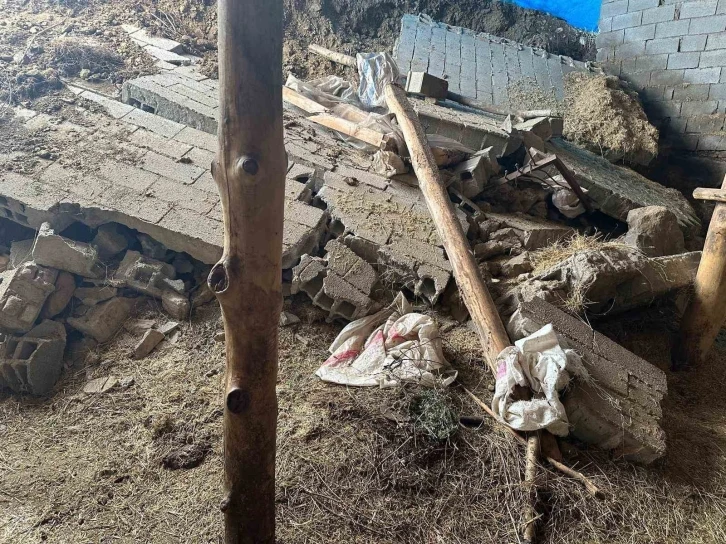 Tunceli’de dolu ve sağanak ekili alanlara zarar verdi
