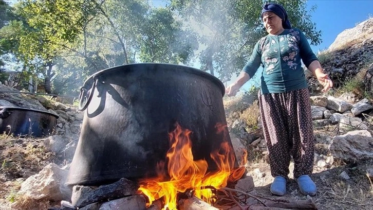 Tunceli'de köylüler dut hasadı ve pekmez yapımına başladı