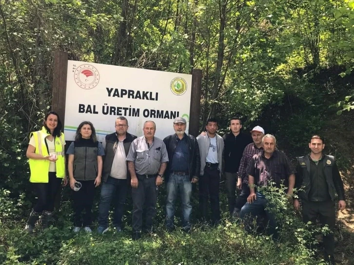 Türkeli’de ’avcı böcekler’ iş başında
