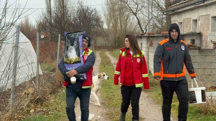 Türkuaz Arama Kurtarma Gönüllülerinden örnek davranış
