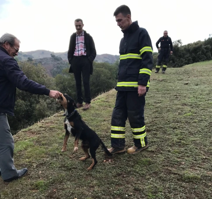 Uçuruma düşen köpeği itfaiye kurtardı
