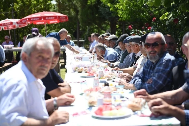 Ulu çınarları buluşturan gelenek
