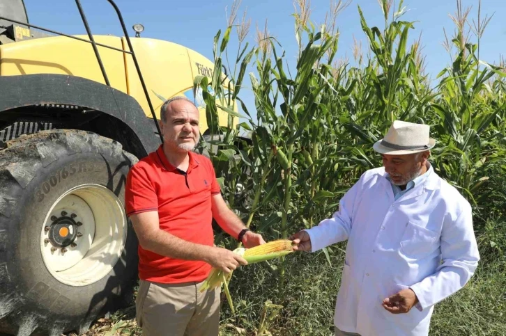 Üreten Üniversite NÖHÜ’de mısır hasadı başladı
