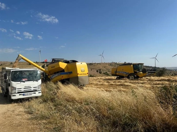 Uşak’ta tritikale üretiminden olumlu sonuç alındı
