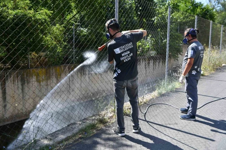 Üsküdar Belediyesi tarafından vektörlerle mücadele devam ediyor
