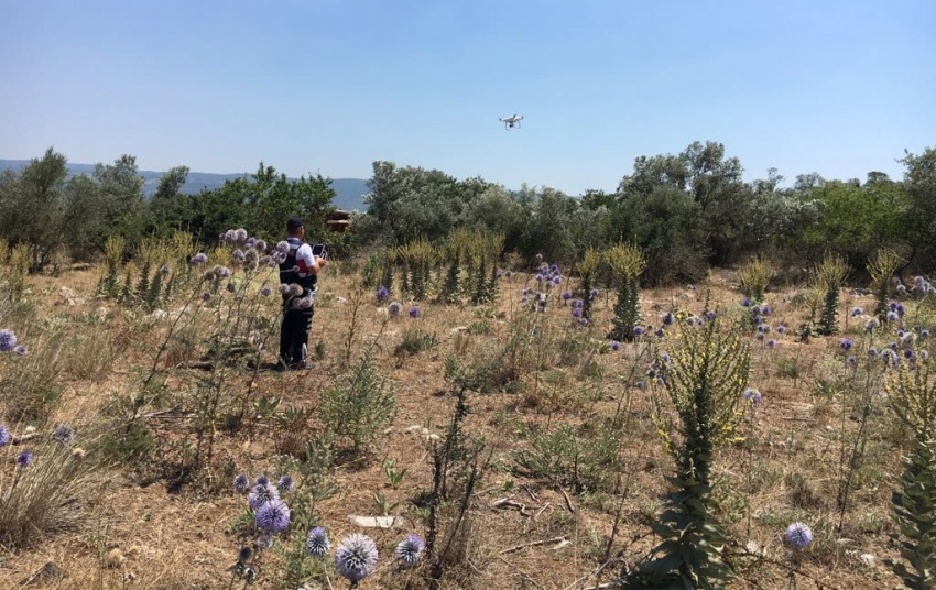 Bursa’da uyuşturucu tacirlerine droneli denetim