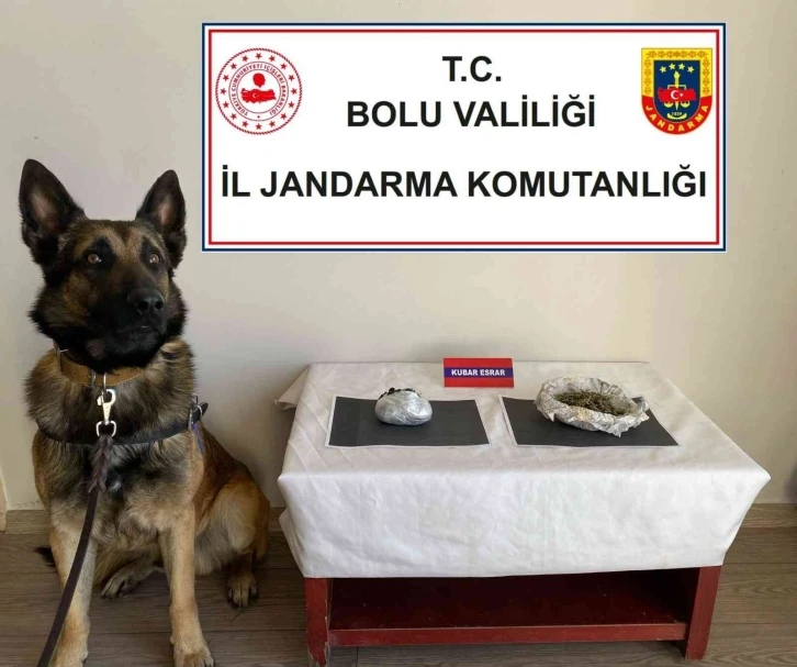 Uyuşturucu taşıyan yolcuları dedektör köpek yakaladı
